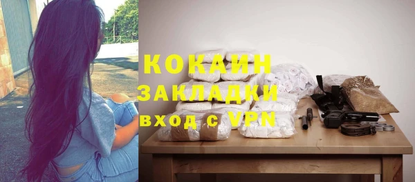 молекула духа Алексин