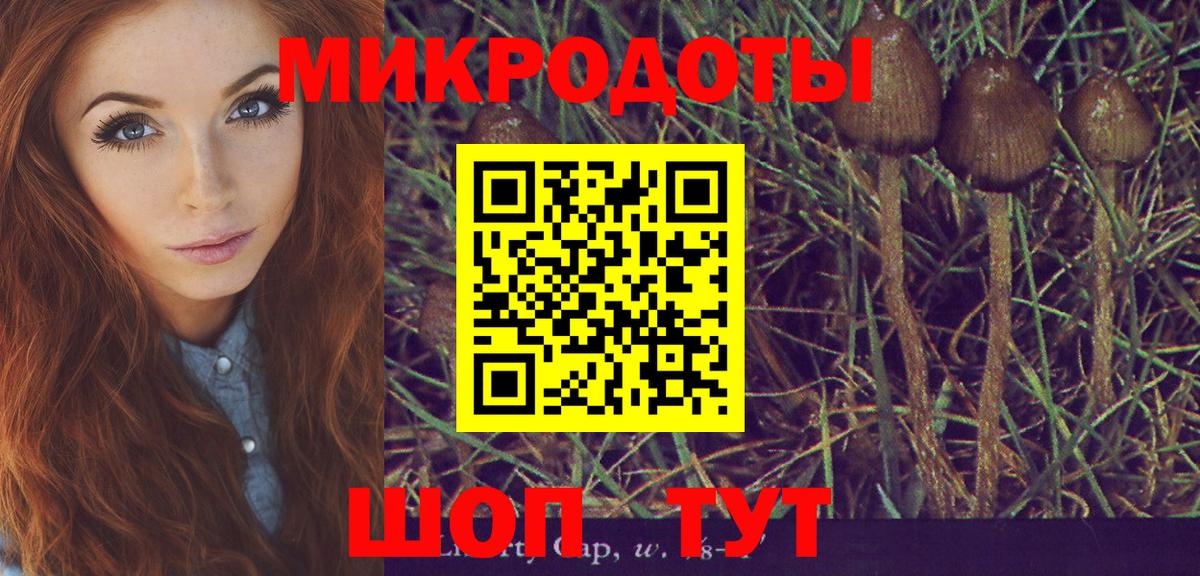 Псилоцибиновые грибы мухоморы Лосино-Петровский